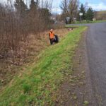 IMG-20230401-WA0006[1]
